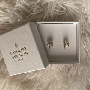 caroline svedbom - säljer dessa jättefina örhängen från caroline svedbom. låda tillkommer. fick i julklapp men är försent för att lämna tillbaks. är en silver människa så de kommer ej till användning. helt splitt nya, inte ens testade. nypris: 395:-