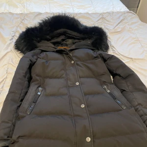 Hollies jacka  - Hollies jacka värd 5000kr  Använt en vinter. Äkta hollies och äkta päls.  Pälsen säljs separat, då det är äkta päls.  