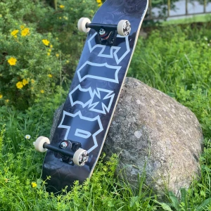 Skateboard - Barely used it 2 or 3 times. Good quality, clean. Quite big (can measure if requested) 