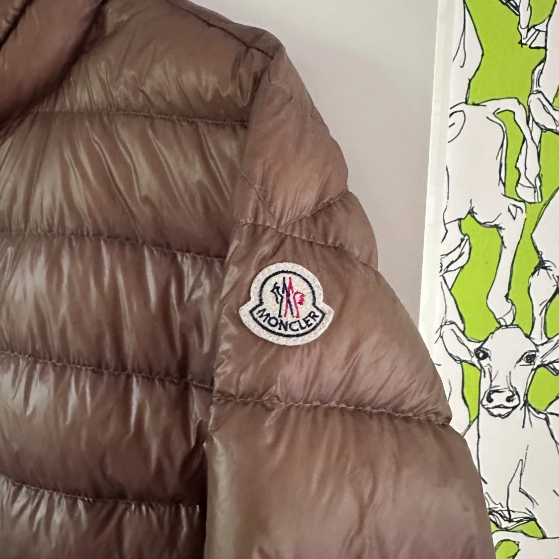 Brun dunjacka från Moncler - 90