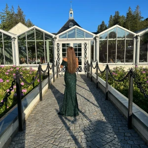 Balklänning  - Klänningen är använd en gång, endast på min bal.  Jag är 160cm lång, om man vill använda det som preferens.    Jag kan även skicka bilderna i chatt, då hela bilderna tyvärr inte kommit med.