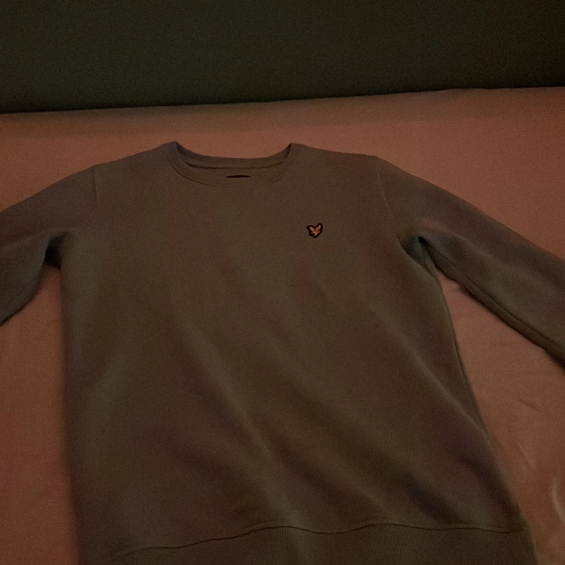 Lyle and scott hoodieđ