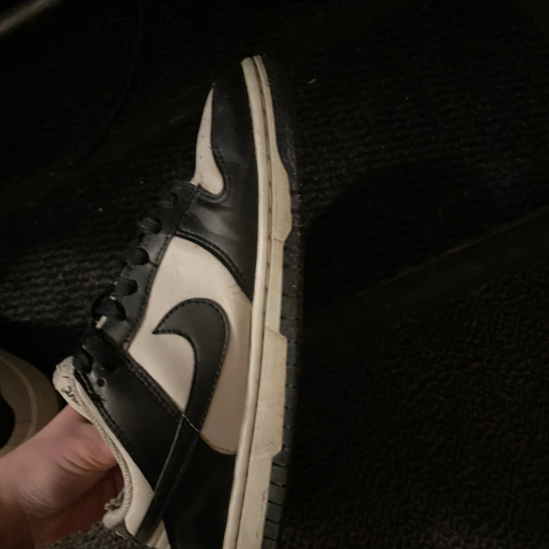 Nike dunks - 90