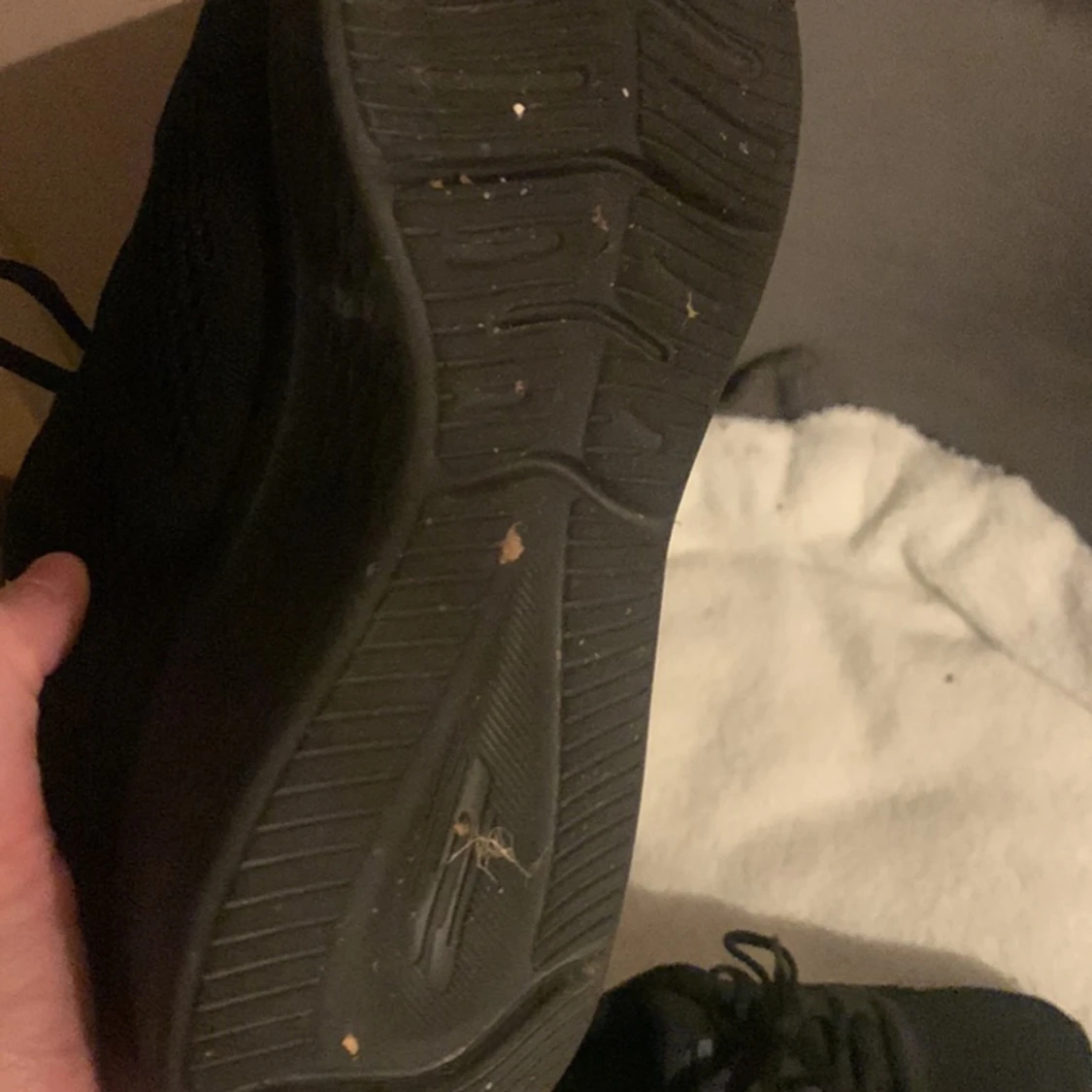 Skechers skor dam 39