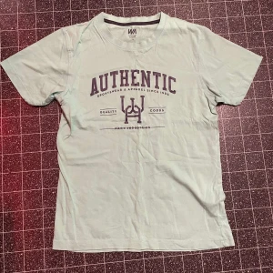 Ljusgrön t-shirt med tryck från WA Industries - Säljer en ljusgrön t-shirt från WA Industries med texten 'AUTHENTIC' tryckt på framsidan. T-shirten har en klassisk rund hals och korta ärmar. Perfekt för en avslappnad stil.