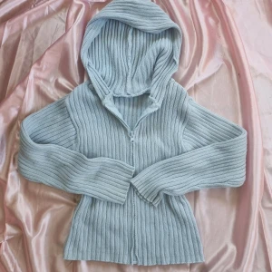 Ljusblå ribbad hoodie - Säljer en ljusblå ribbad hoodie med dragkedja. Den är croppad och har långa ärmar, perfekt för en avslappnad stil. Mysig och trendig!