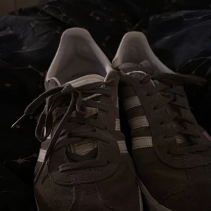 Adidas gazzel  - Ett par snygga grå adidas gazzel ,dom har änvänds lite men är i bra skick och går och använda ,i stolek 38,5