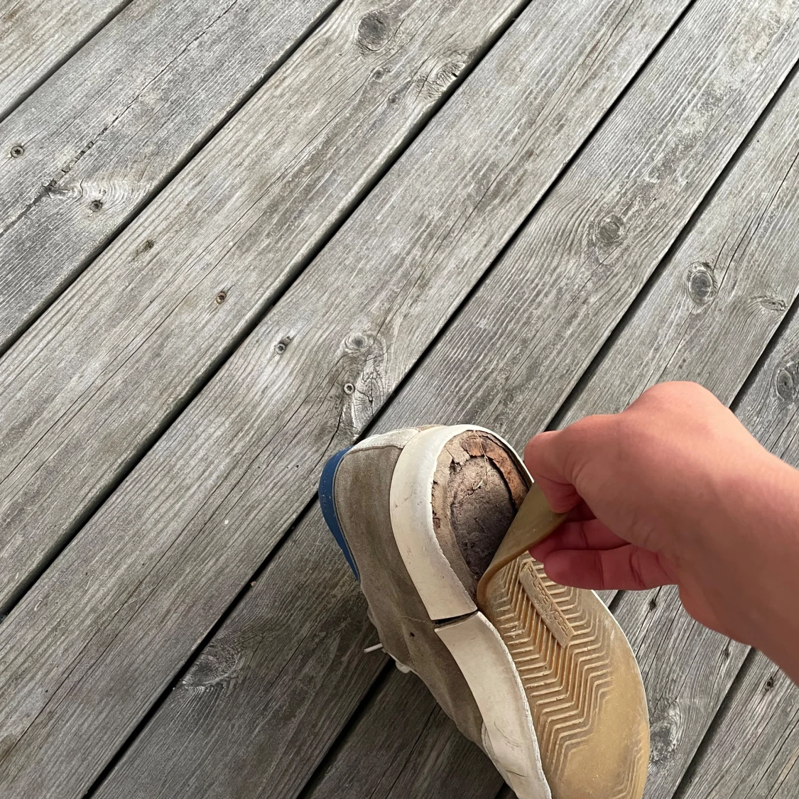 Phillipe Model skor - 91