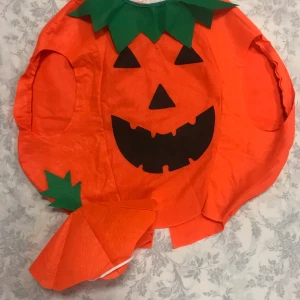 Halloween Pumpa Dräkt  - Stlk kvar  barn och ungdomar 169kr/st  Vuxen  stlk 189kr/st  Finns fler kvar, samma frakt 