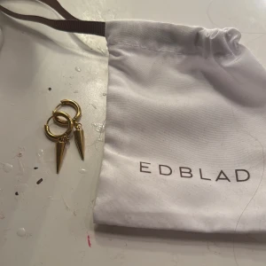 Guldörhängen med spetsdetalj från Edblad - Snygga guldörhängen från Edblad med en cool spetsdetalj. Perfekta för att ge din outfit en edgy touch. Kommer i en praktisk förvaringspåse.
