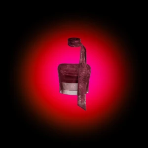 Vinröd tubtopp med knytband - vinröd tubtopp med ett knytband runt halsen. Från SHEIN, pälsdjur och hö i hemmet.