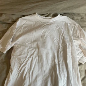 Vit t-shirt från 157 - Säljer en klassisk vit t-shirt från 157 i storlek S. Den är tillverkad av 100% bomull och har en normal passform med korta ärmar. Perfekt basplagg för alla tillfällen.