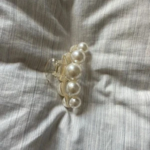 Hårklämma - Så fin och unik hårklämma från glitter, inga defekter, mellanstor💕