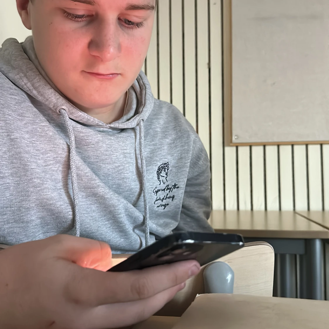 Grå hoodie med tryck