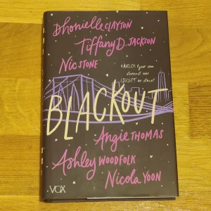 Blackout - 'Blackout' av Dhonielle Clayton, Tiffany D. Jackson, Nic Stone, Angie Thomas, Ashley Woodfolk och Nicola Yoon.
