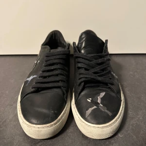 Svarta sneakers med broderade fåglar - Snygga svarta sneakers med broderade fåglar i olika färger på sidan från Axel arigato. Skorna har en klassisk design med snörning och en vit sula som ger en stilren kontrast. Perfekta för en avslappnad look.