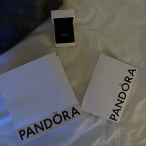 Pandora ring  - jättefin ring från Pandora som tyvär inte kommit till användning ❣️ask till ringen medkommer men även kort och påse hör av er vid frågor, pris kan diskuteras vid snabb affär ❣️