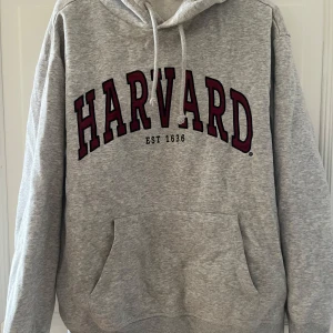 Grå hoodie - Säljer denna grå hoodie som är lite oversized i storleken! Inte använd så mycket så den är fortfarande mysig i🥰