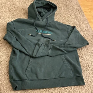 Grön hoodie från Madlady - Säljer en grön hoodie från Madlady med texten 'Sanity is Overrated' och ett coolt ögonmotiv på baksidan. Hoodien har en stor ficka framtill och justerbar huva med snören. Säljer min favorithoodie😅 använd några gånger då jag varit väldigt rädd om den! Köpt för 599