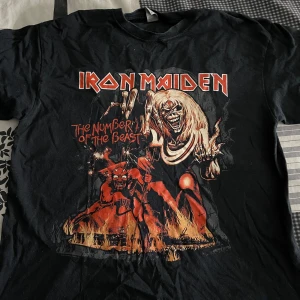 Bandtröja - Svart baksida, knappt använd. Storlek L. Du står för frakten