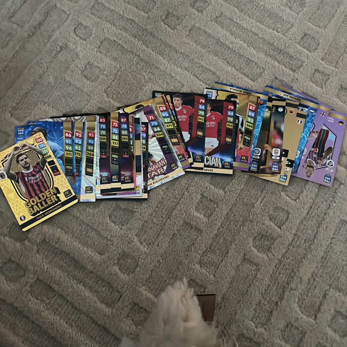 FIFA 365 samlarkort i metallåda - 92