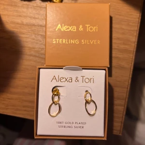 Guldpläterade örhängen från Alexa & Tori - Örhängen i 18k guldpläterat sterlingsilver från Alexa & Tori. De har en stilren design med två sammanlänkade ringar. Har inte använt överhuvudtaget då det inte riktigt är min stil. 
