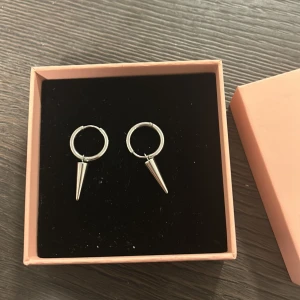 Silverörhängen med spetsdetalj från Edblad - Snygga och stilrena silverörhängen från Edblad med en cool spetsdetalj som hänger från en liten ring. Perfekta för att ge din outfit en edgy touch! Kommer i en fin rosa ask.