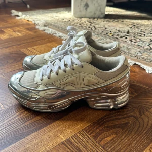 Raf Simons ozweego - Raf Simons ozweego Storlek 42 2/3, sitter som 43 Ingen box Väldigt rare sko, priset är en skrivet i sten så kom med bud!