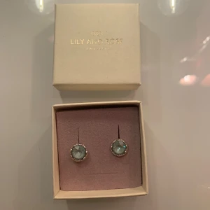 Örhängen  - Helt nya örhängen från Lily and Rose som jag fick i present men tyvärr inte använts! Nypris är 300-400 kr 😊