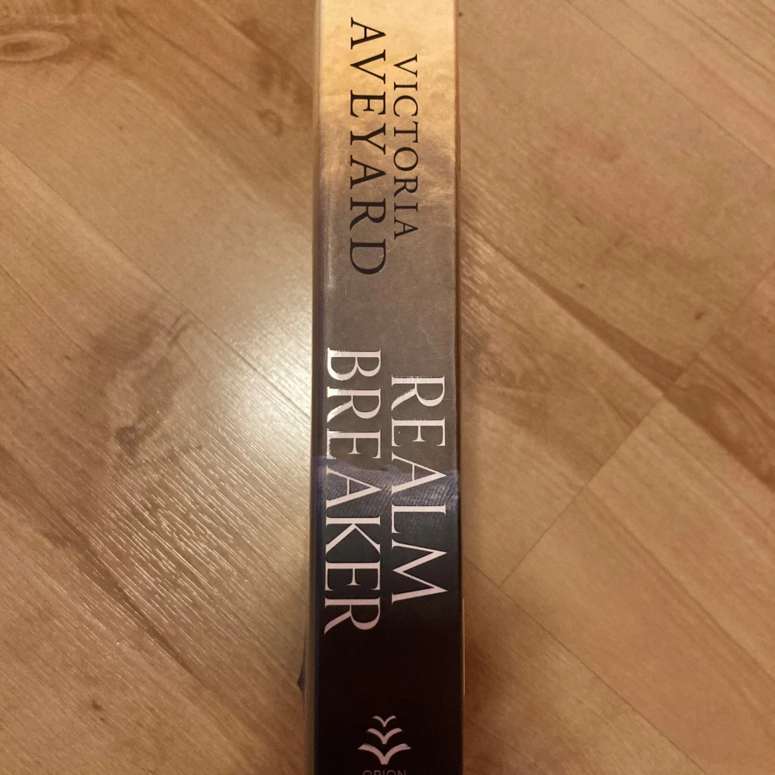 Realm Breaker av Victoria Aveyard - 90