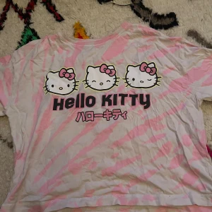 Hello Kitty t-shirt - Söt cropped T-shirt från zara. Har nästan aldrig använt💓 vet inte riktigt vilken storlek men skulle säga att den är small