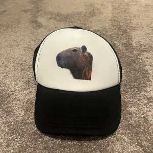 Capybara keps - Capybara keps, skick 9/10. Går att justera i storlek.