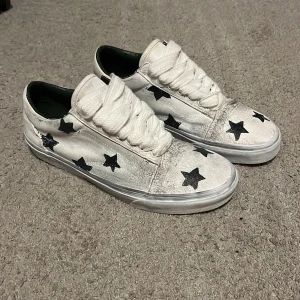 Custom Vand - Riktigt unika och feta custom Vans! Stroken 44