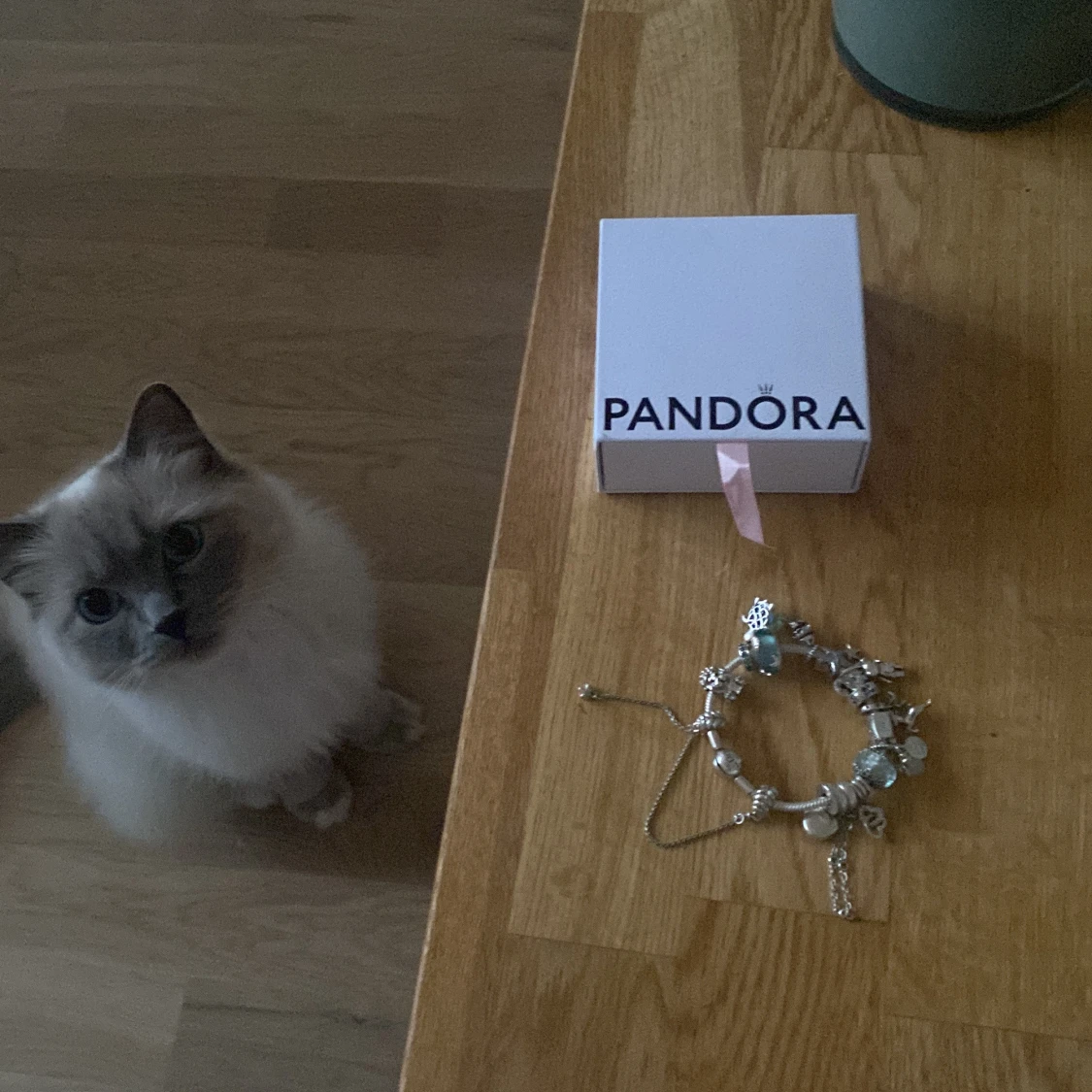 Pandora berlocks