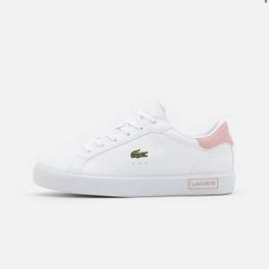 Lacoste skor💕använt skick 💕ny pris 800kr 💕lite skavda (se på sista bilden)💕