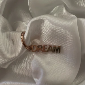 Örhängen med texten 'DREAM' - säljer dessa supersnygga örhängen från Edblad som jag tyvärr inte får användning av längre💓💓bra skick och inga defekter! Kom privat för frågor eller fler bilder💕💕 nypris 399kr