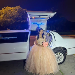 Quinceañera/ bal klänning  -  Hyr min quinceañera kläning skriv privat om ni är intresserade av att hyra den så jag kan skicka all information där om priset osv. Den anpassar sig efter alla storlekar 