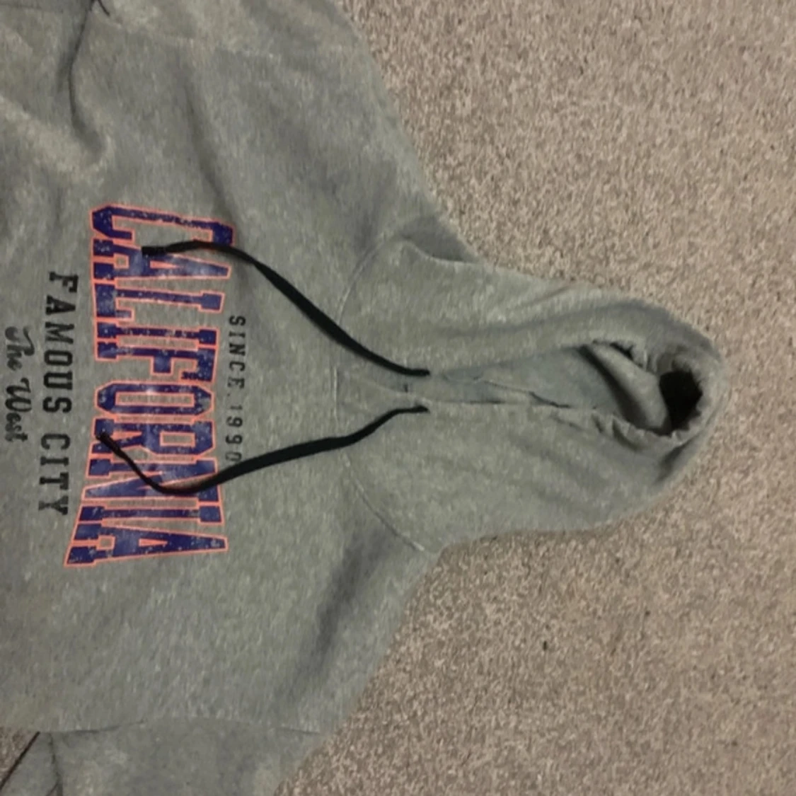 Carlifonia skön grå hoodie - 93