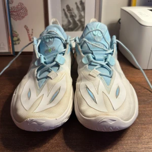 Way of Wade all city 11 V2 ICE BLOOD - Säljer de här asfeta basketskorna i storlek 46,5. Otroligt bra grepp Inga sulor kvar dock pga att jag göt egna sulor anpassade för mina fötter. Ingen låda kvar heller då jag slängde den vid köp. Sparsamt använde och fint skick!