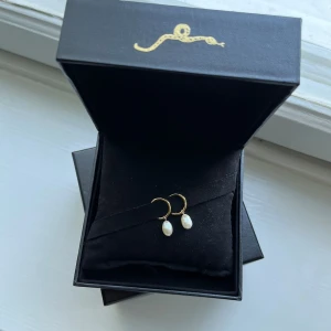 Pärlörhängen  - Super söta pärlörhängen från edblad i jätte bra skick😻😻