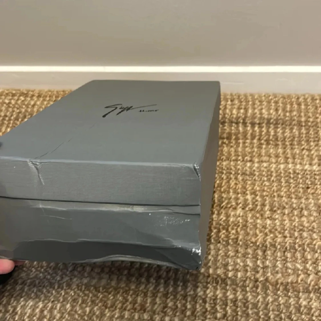 Giuseppe zanotti skor  - 93