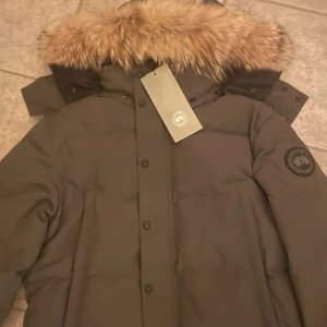 Canada Goose jacka  - Helt ny canada goose jacka, storlek L men passar M. Skriv vid frågor och bilder.