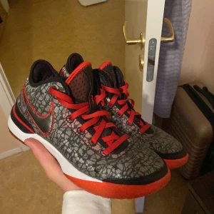 Lebron nxxt gen basket skor - Skorna är använda men har fortfarande dunder performance, modellen på är en collab med den kände gaming gruppen face clan