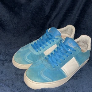 Blå sneakers från Valentino - Snygga blå skor  från Valentino, skorna är i 7 /10 skick, inga hål eller några defekter utom att mockan är lite blek och det fattas några nitar. Om du har några frågar så är de bara skriva mvh Elias