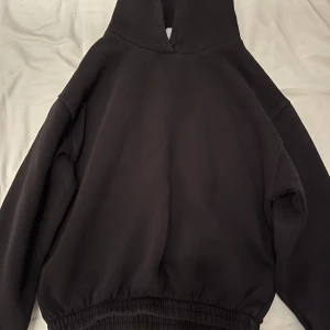 Svart hoodie - En svart hoodie med ett på sytt citat på armen. Hoodien är i ganska bra skick och är från Zara.   Om du vill ha fler bilder är det bara att säga till! 