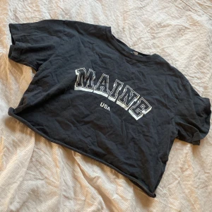 Svart croppad t-shirt från Divided - Säljer en svart croppad t-shirt från Divided med texten 'MAINE USA' i vitt på framsidan. T-shirten har korta ärmar och en avslappnad passform. Perfekt för en casual look! Har använt en gång men insåg att jag hade köpt en för liten storlek. 