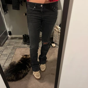 Lågmidjade jeans  - Säljer ett par populära lågmidjade jeans på zara i storlek 36, gjort hålet sjölv. Dom är superbekväma och i bra skick 