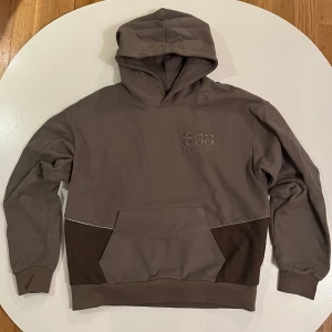 HalfEvil Hoodie - Använd 1 gång.
