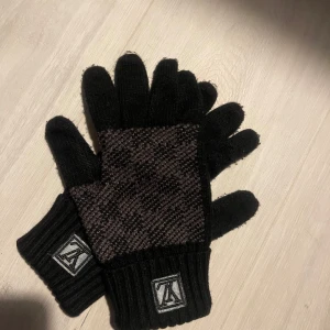 LV Vantar/Handskar - LV haskar perfekt nu till vintern, jag skulle säga att dom är i ganska bra skick och är allmänt snyggt med det mesta. Perfekt som födelsedagspresent eller för eget bruk. Ny pris: 5000kr kvitto finns