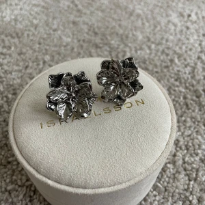 Silver örhängen  - Jätte bra skick och är knappast använd, säljer på grund av att jag inte använder silver längre💘(pris kan diskuteras)vet ej om de finns kvar ☀️